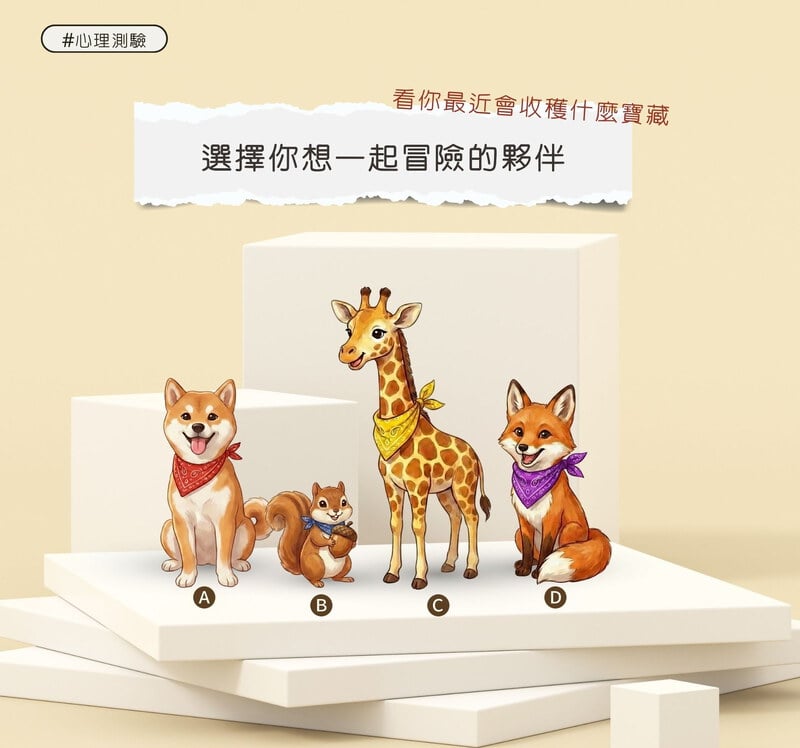 選擇你想一起冒險的夥伴，看你最近會收穫什麼寶藏