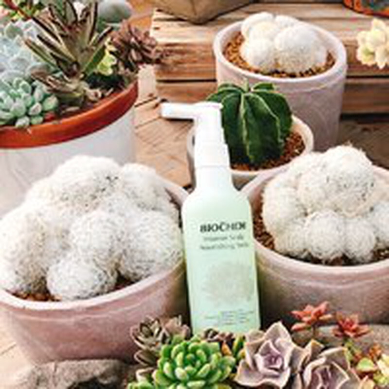 擺脫油頭人的命運~頭皮養護調理精華