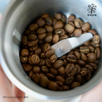 雅聞脈輪精品咖啡100g/包