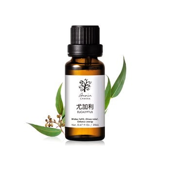 尤加利 精油20ml