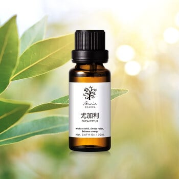 尤加利 精油20ml