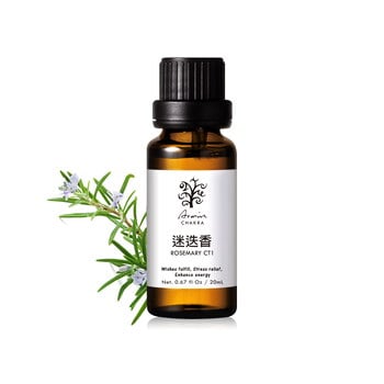 迷迭香CT1 精油20ml