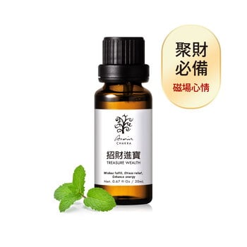 招財進寶 複方精油20ml