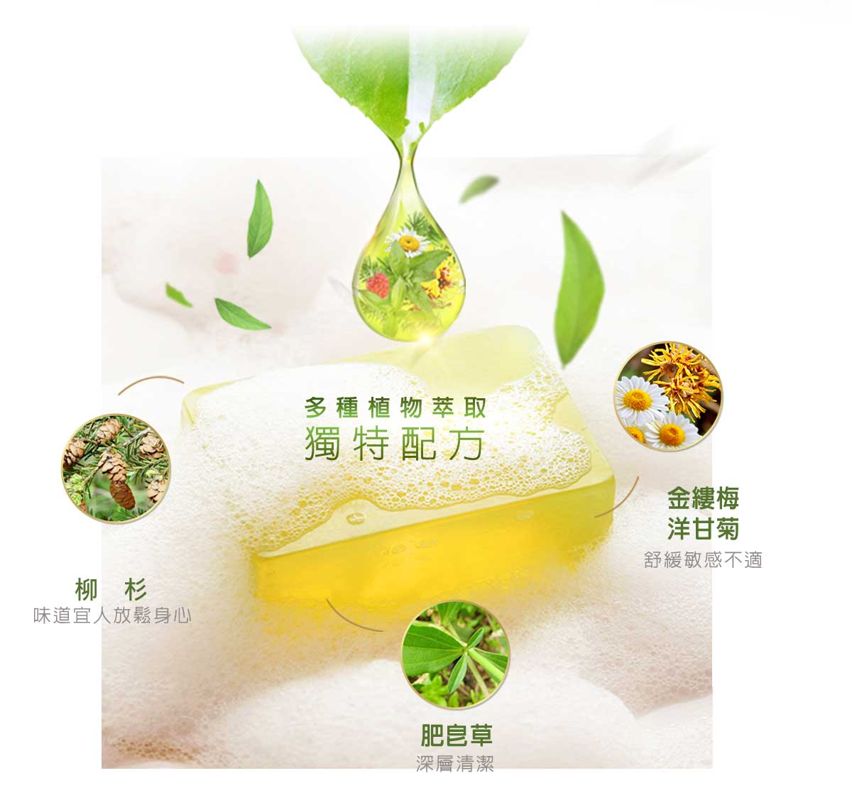多種植物萃取