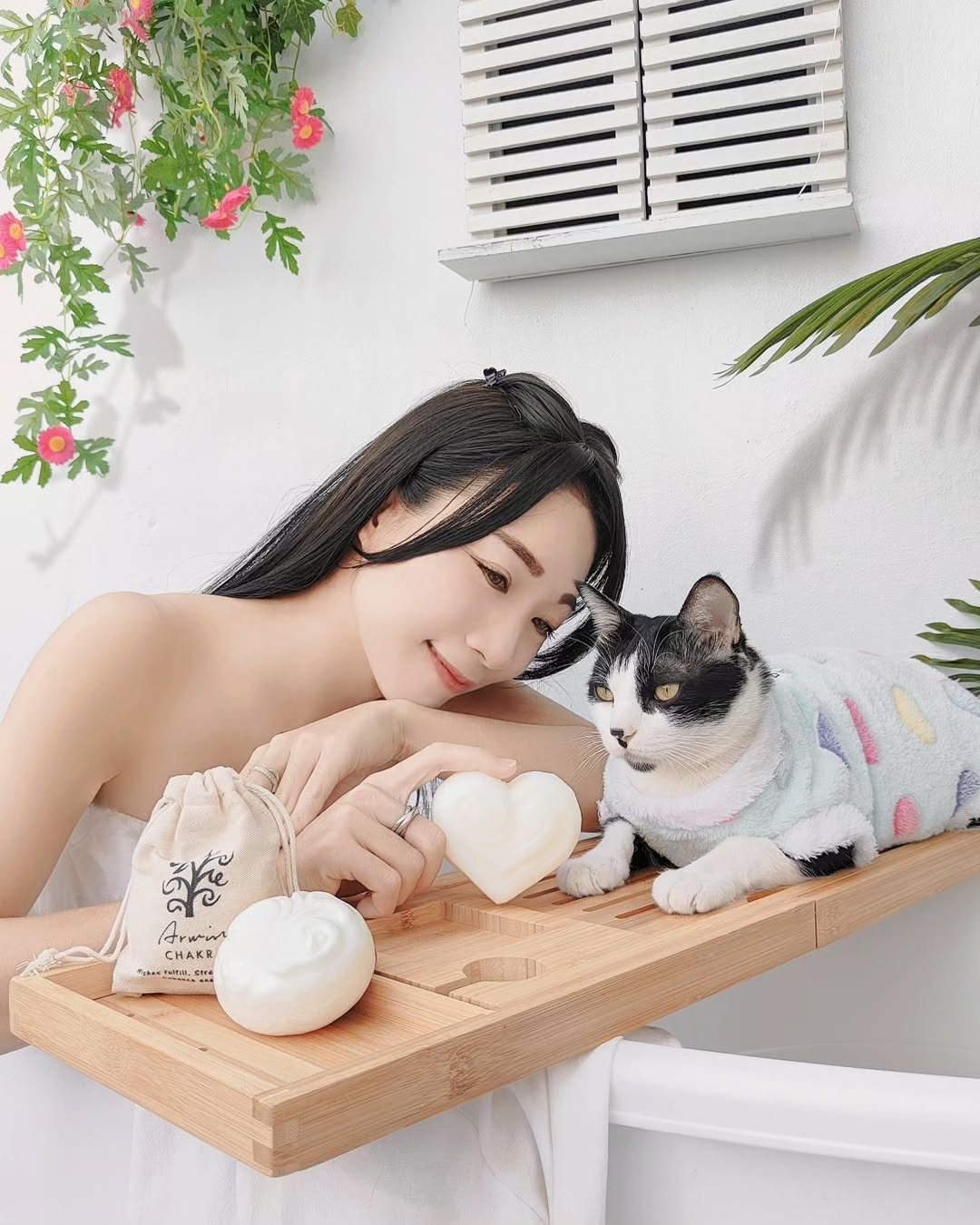 安1 安1