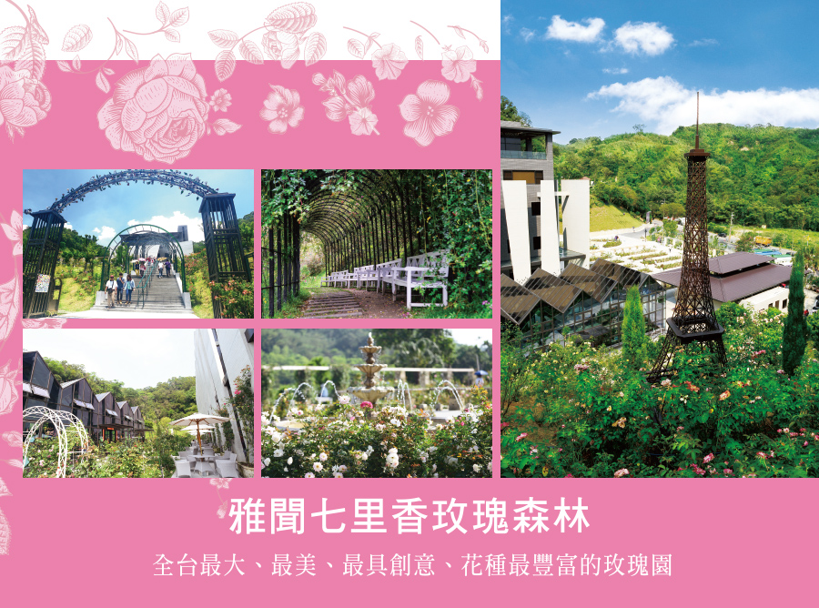 雅聞七里香玫瑰森林